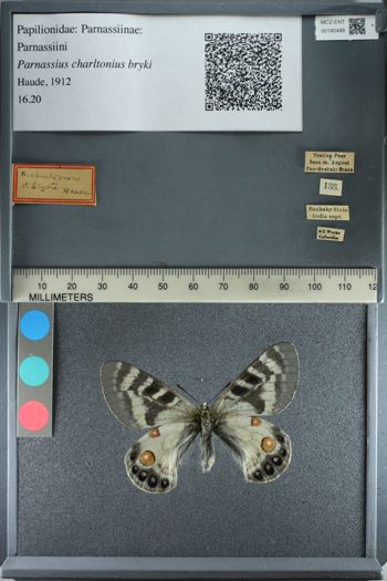 Media type: image;   Entomology 180488
